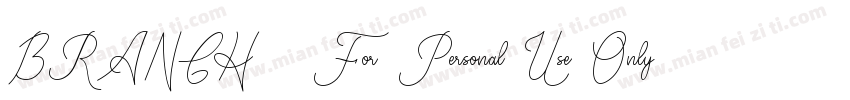 BRANCH   For Personal Use Only字体转换